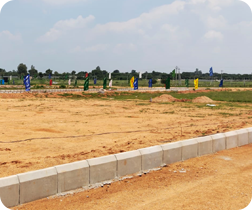 True Gold & Hi-Tech Park